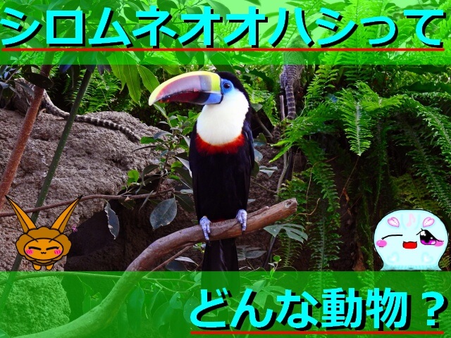 Thumbnail of post image 055